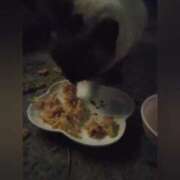 ヒメ日記 2025/05/19 21:46 投稿 花咲ななみ ZERO-i