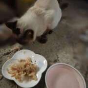 ヒメ日記 2025/05/20 11:39 投稿 花咲ななみ ZERO-i