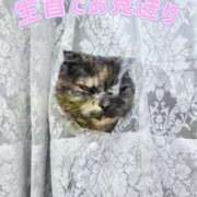 ヒメ日記 2025/05/22 21:06 投稿 花咲ななみ ZERO-i