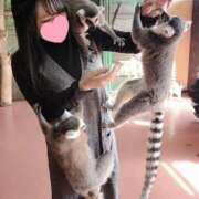 ヒメ日記 2025/05/23 00:16 投稿 花咲ななみ ZERO-i