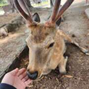 ヒメ日記 2025/05/23 12:06 投稿 花咲ななみ ZERO-i