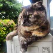 ヒメ日記 2025/05/25 10:16 投稿 花咲ななみ ZERO-i