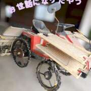 ヒメ日記 2025/05/28 10:26 投稿 花咲ななみ ZERO-i