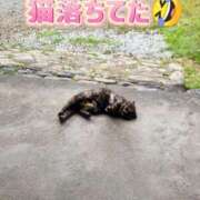 ヒメ日記 2025/05/29 16:39 投稿 花咲ななみ ZERO-i