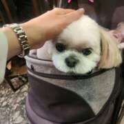 ヒメ日記 2025/05/31 10:33 投稿 花咲ななみ ZERO-i