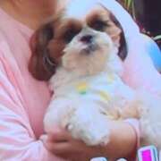 ヒメ日記 2025/05/31 21:26 投稿 花咲ななみ ZERO-i