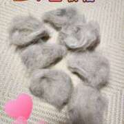 ヒメ日記 2025/06/03 11:13 投稿 花咲ななみ ZERO-i