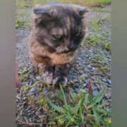 ヒメ日記 2025/06/05 08:36 投稿 花咲ななみ ZERO-i