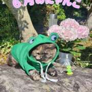 ヒメ日記 2025/06/06 14:26 投稿 花咲ななみ ZERO-i