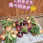 ヒメ日記 2025/06/07 00:26 投稿 花咲ななみ ZERO-i