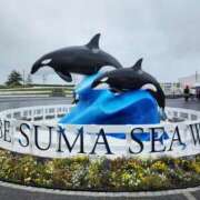 ヒメ日記 2025/06/10 12:26 投稿 花咲ななみ ZERO-i