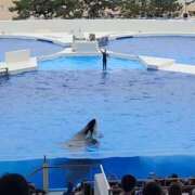 ヒメ日記 2025/06/10 15:56 投稿 花咲ななみ ZERO-i