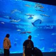 ヒメ日記 2025/06/11 01:36 投稿 花咲ななみ ZERO-i