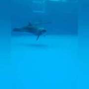 ヒメ日記 2025/06/11 10:56 投稿 花咲ななみ ZERO-i