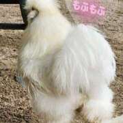 ヒメ日記 2025/06/12 21:26 投稿 花咲ななみ ZERO-i