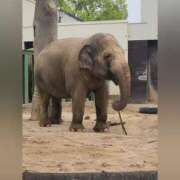 ヒメ日記 2025/06/13 07:36 投稿 花咲ななみ ZERO-i