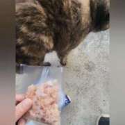 ヒメ日記 2025/06/15 08:26 投稿 花咲ななみ ZERO-i