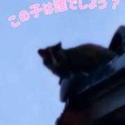 ヒメ日記 2025/06/17 14:46 投稿 花咲ななみ ZERO-i