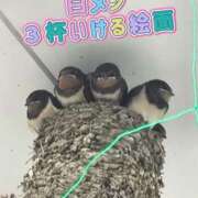 ヒメ日記 2025/06/20 01:00 投稿 花咲ななみ ZERO-i