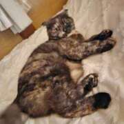 ヒメ日記 2025/06/20 20:56 投稿 花咲ななみ ZERO-i