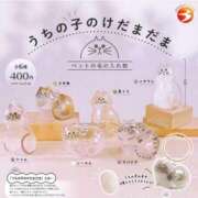 ヒメ日記 2025/06/21 07:56 投稿 花咲ななみ ZERO-i