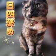 ヒメ日記 2025/06/29 03:36 投稿 花咲ななみ ZERO-i