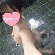 ヒメ日記 2025/06/29 08:26 投稿 花咲ななみ ZERO-i