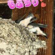 ヒメ日記 2025/06/30 18:06 投稿 花咲ななみ ZERO-i