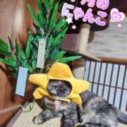 ヒメ日記 2025/07/10 11:59 投稿 花咲ななみ ZERO-i