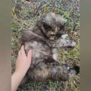 ヒメ日記 2025/07/11 14:36 投稿 花咲ななみ ZERO-i