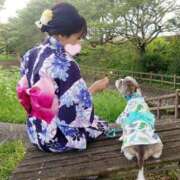 ヒメ日記 2025/07/12 00:56 投稿 花咲ななみ ZERO-i