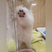 ヒメ日記 2025/07/13 08:56 投稿 花咲ななみ ZERO-i