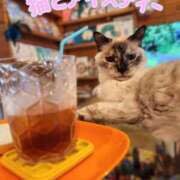 ヒメ日記 2025/07/17 14:16 投稿 花咲ななみ ZERO-i