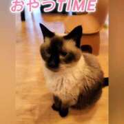 ヒメ日記 2025/07/17 21:23 投稿 花咲ななみ ZERO-i