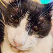 ヒメ日記 2025/07/18 08:16 投稿 花咲ななみ ZERO-i