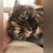 ヒメ日記 2025/07/20 08:56 投稿 花咲ななみ ZERO-i