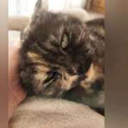 ヒメ日記 2025/07/20 09:06 投稿 花咲ななみ ZERO-i