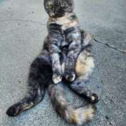 ヒメ日記 2025/07/20 09:56 投稿 花咲ななみ ZERO-i