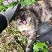 ヒメ日記 2025/07/23 21:26 投稿 花咲ななみ ZERO-i