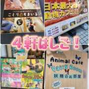 ヒメ日記 2025/07/25 00:06 投稿 花咲ななみ ZERO-i