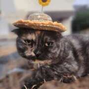 ヒメ日記 2025/08/02 07:36 投稿 花咲ななみ ZERO-i