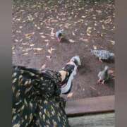 ヒメ日記 2025/08/06 17:46 投稿 花咲ななみ ZERO-i