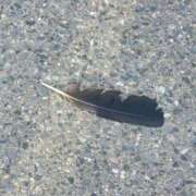 ヒメ日記 2025/08/08 12:26 投稿 花咲ななみ ZERO-i