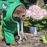 ヒメ日記 2025/08/11 10:16 投稿 花咲ななみ ZERO-i