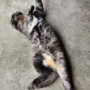 ヒメ日記 2025/08/13 13:46 投稿 花咲ななみ ZERO-i