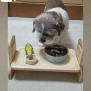 ヒメ日記 2025/08/23 21:16 投稿 花咲ななみ ZERO-i