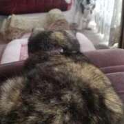 ヒメ日記 2025/09/02 15:36 投稿 花咲ななみ ZERO-i