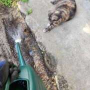 ヒメ日記 2025/09/03 21:16 投稿 花咲ななみ ZERO-i