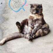 ヒメ日記 2025/09/13 00:26 投稿 花咲ななみ ZERO-i