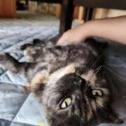 ヒメ日記 2025/09/13 10:04 投稿 花咲ななみ ZERO-i